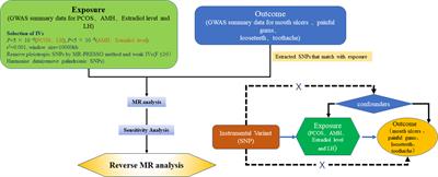 Causal relationship between PCOS and related sex hormones with oral inflammatory diseases: a bidirectional Mendelian randomization study